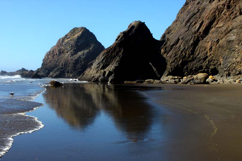 Ambling Around Arch Cape - Discoveries on N. Oregon Coast