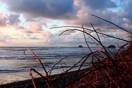 Five Funky Facts About Oregon Coast Spring Break You Didn't Know