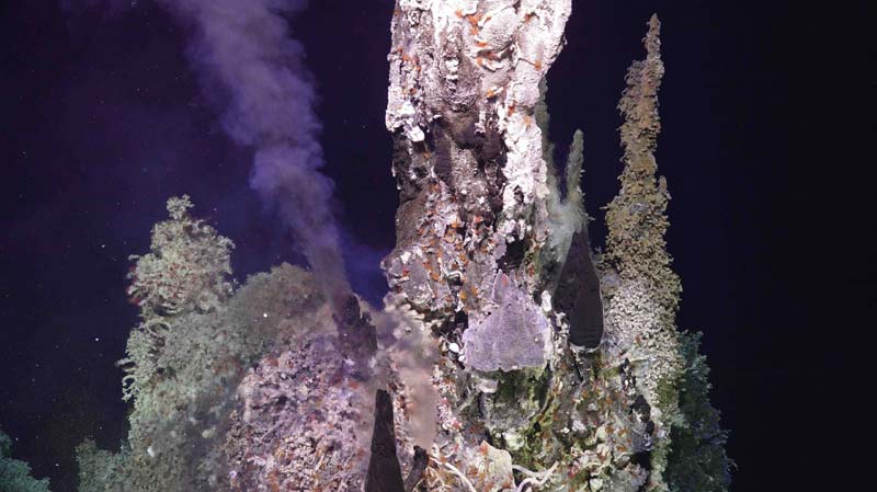 Around Undersea Volcano Other Intriguing Oregon Coast Science Happens | Video