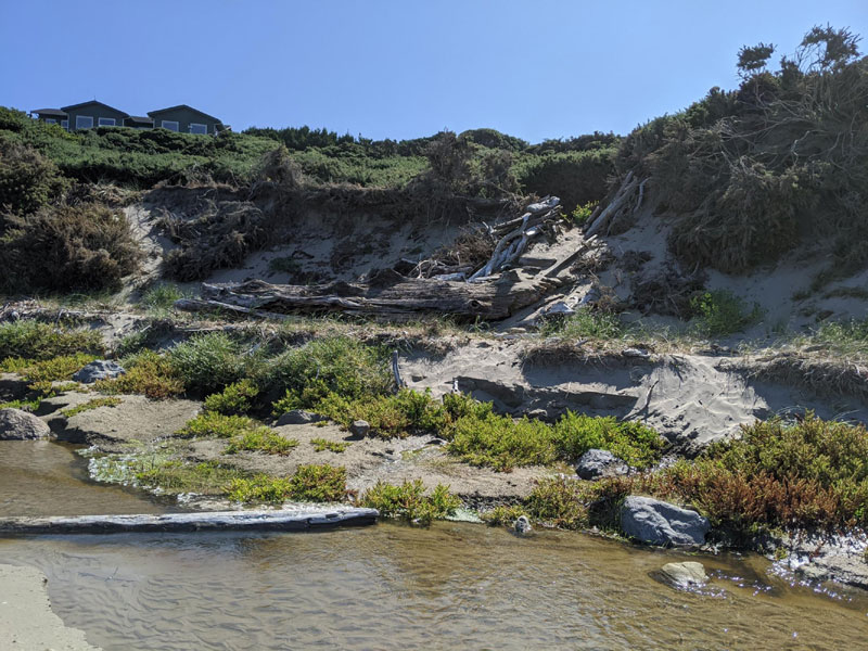 Not All Oregon Coast Beaches Recovered from Last Winter's Erosion 