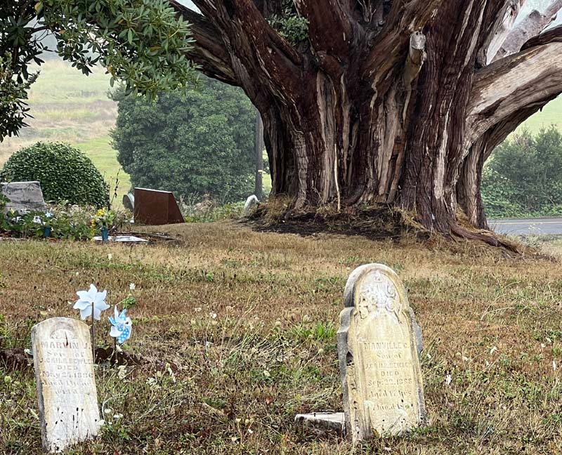 Bay City Historical Cemetery Tour Gives Plenty of Moody Oregon Coast Vibes