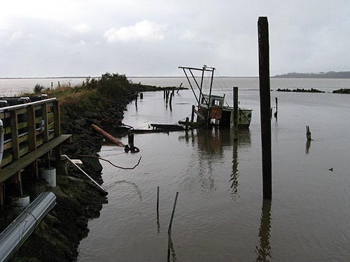 the famed shipwreck at Pacific Oyster in Bay City