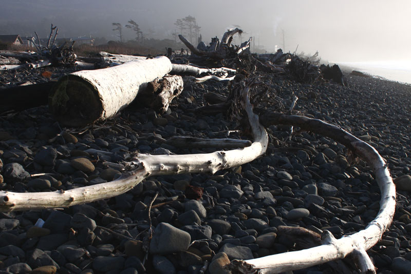 Bayocean Peninsula Park and Cape Meares Beach: N. Oregon Coast Unknowns 