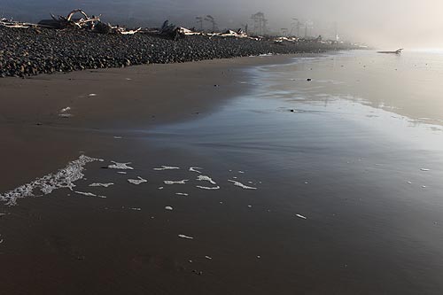 Eight Amazing Finds Along 120 Miles of Oregon Coast