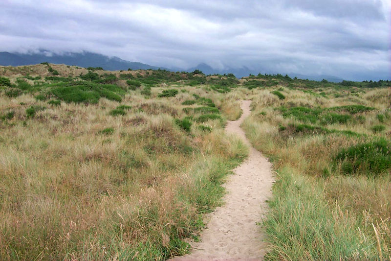 Bayocean Peninsula Park and Cape Meares Beach: N. Oregon Coast Unknowns 