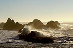 Waldport, Seal Rock