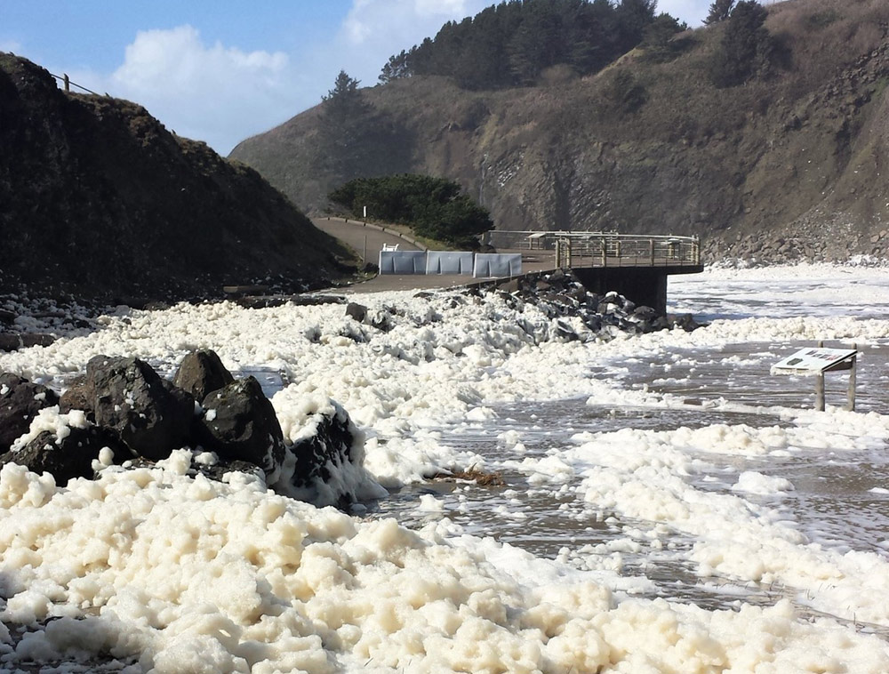 The Stunts and Curious Facts of Sea Foam on the Oregon Coast