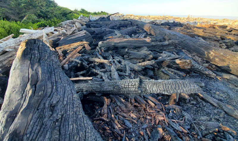 Beach Fires Becoming a Problem on Oregon Coast - Already Banned South