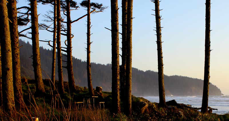 What Really Happened with the Crashed B-17 Bomber on N. Oregon Coast's Cape Lookout