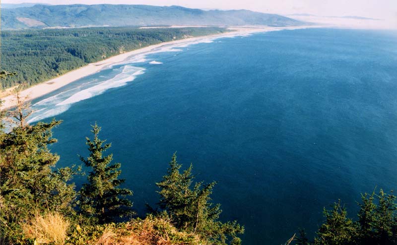 Hiking Cape Lookout Trail on N. Oregon Coast Yields Soaring Views