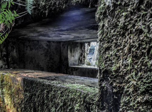The Mysterious World War II Bunker Atop Oregon Coast's Tillamook Head 