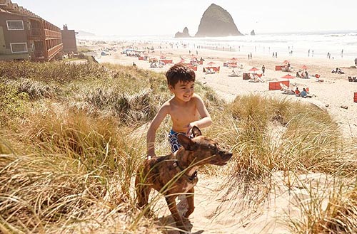 On October 15, Cannon Beach hosts its 19th Annual Dog Show on the Beach