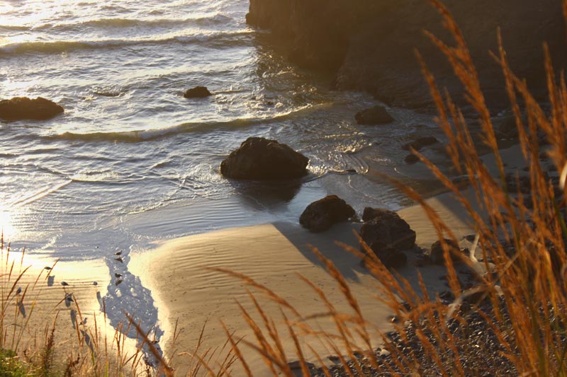 Viewpoints of Ecola State Park