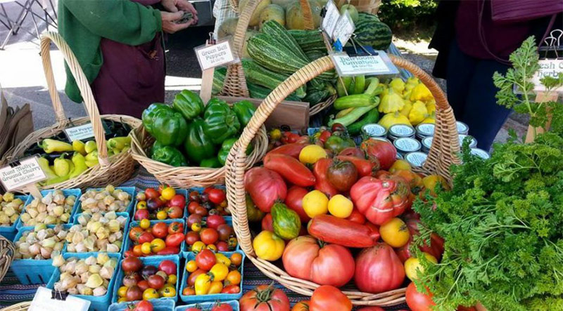 Outdoor Markets at Oregon's North Coast Food Trail: What's New and Cool, What's In