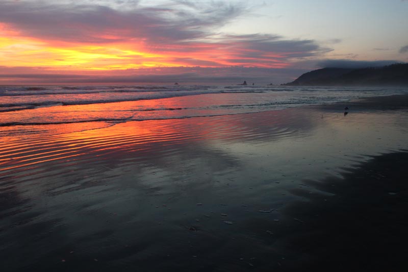 Cannon Beach Winter Top Ten: Oregon Coast Insider Tips