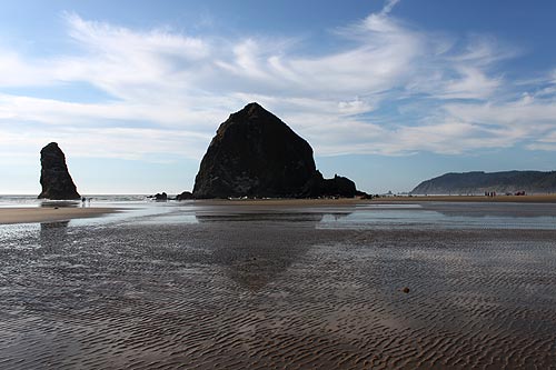 April's Oregon Coast Highlights Include Outdoors, Science, Music Fests, TV Star