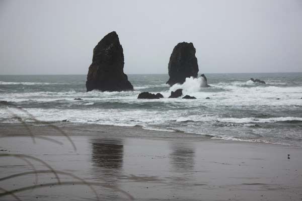 Ten Incredible Reasons to Not Miss Out on an Oregon Coast Winter 