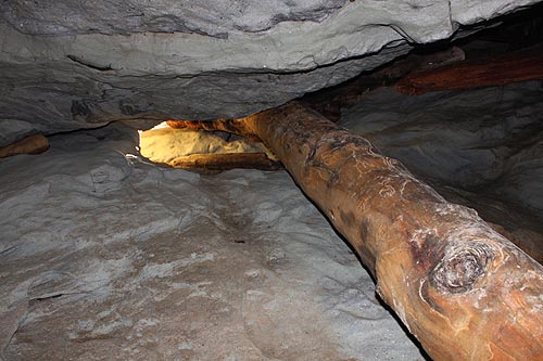Log embedded in walls of sea cave