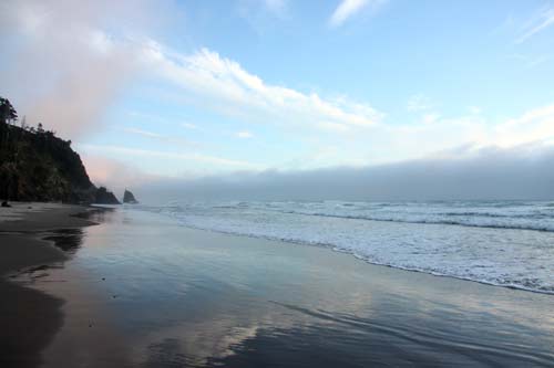Oregon Coast Fall Beach Cleanup Date Announced: September 29