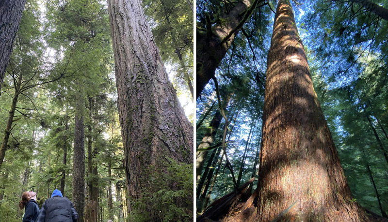 N. Oregon Coast / Cannon Beach Lectures Continue With Climate Change Event 