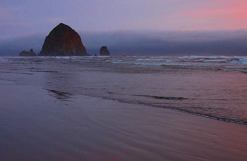 Nature Walks, Talks Part of Oregon Coast Beach Bill Party in Cannon Beach 