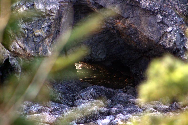 Confessions of an Angry Sea Cave: Colorful Silver Point on N. Oregon Coast 