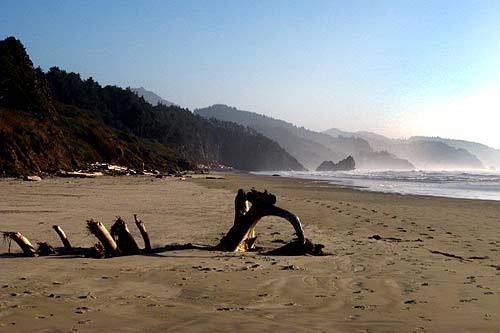 southern side of Silver Point, Cannon Beach