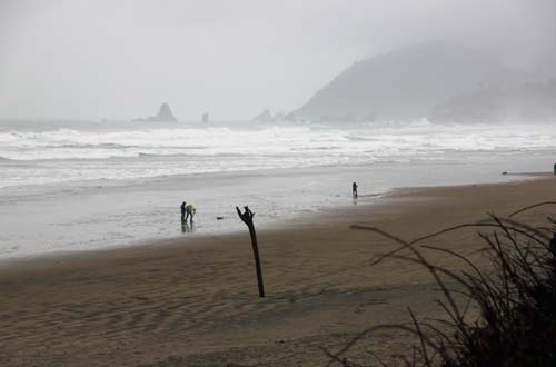Weather Pendulum: Portland, Valley, Oregon Coast Back to Colder and Wetter This Week