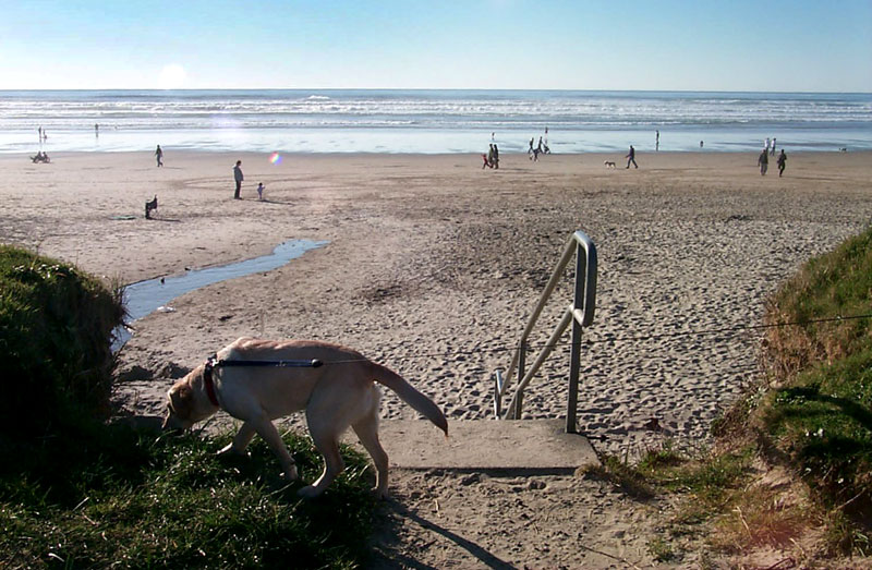 Cannon Beach - Southern Beaches, Westerly View