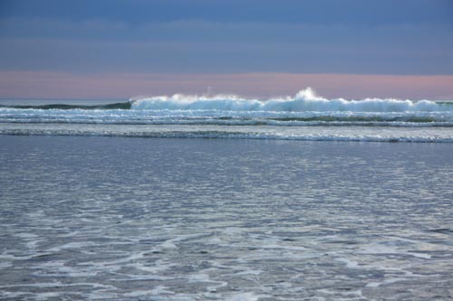 Conference in Cannon Beach Brings Excitement and Intrigue to Learning About Oregon Coast 