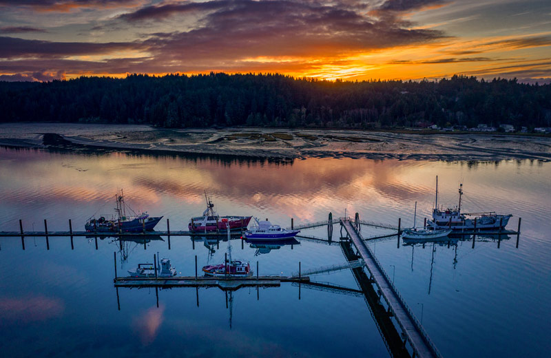 Charleston's Seafood, Beer 'n Wine Fest Makes Big Comeback to S. Oregon Coast 