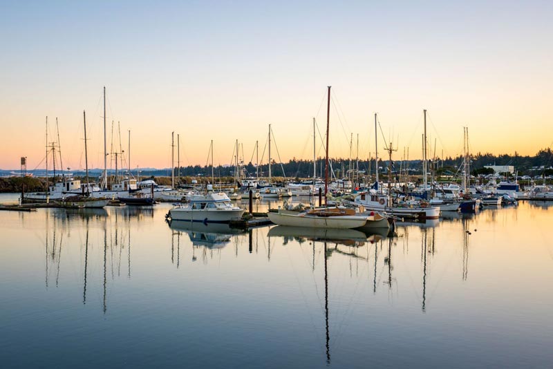 Dockside and Pier Wonders of the Oregon Coast: Ethereal, Dreamy Finds 