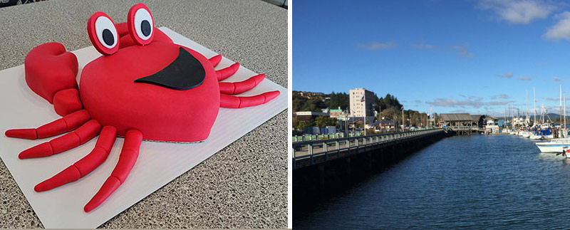 A Curious Contest: Bake a Crab-Looking Cake, Win Stays in S. Oregon Coast's Coos Bay Area