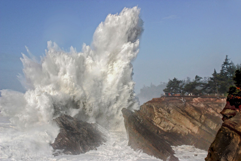 Why Shore Acres Waves Are So Big: Height Measurement, Geology | S. Oregon Coast