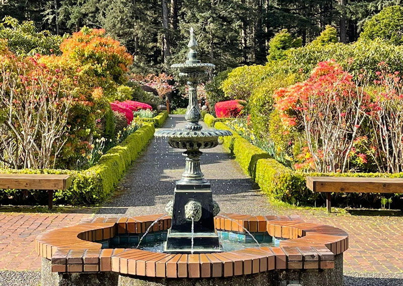 Unique Outdoor Concerts on S. Oregon Coast Connect You to Nature at Coos Bay, Brookings