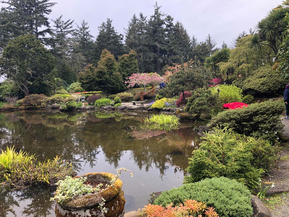 History Bus Tour and Helping Shore Acres on South Oregon Coast in August