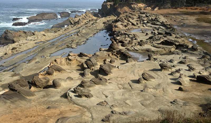 Bizarre Rocky Details of Oregon Coast: What's Really Going On