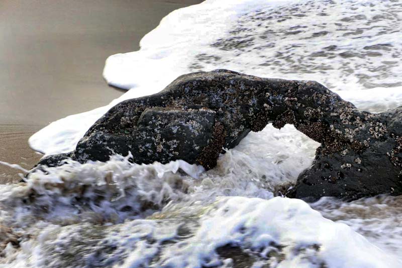 Quirky Details, Discoveries Along Oregon Coast: Seaside to Gold Beach