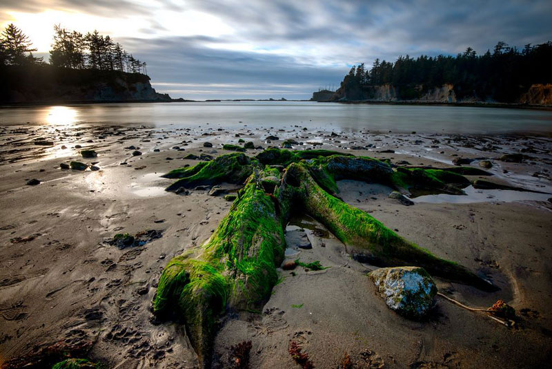 Delicious Little Secrets of Sunset Bay on Southern Oregon Coast 