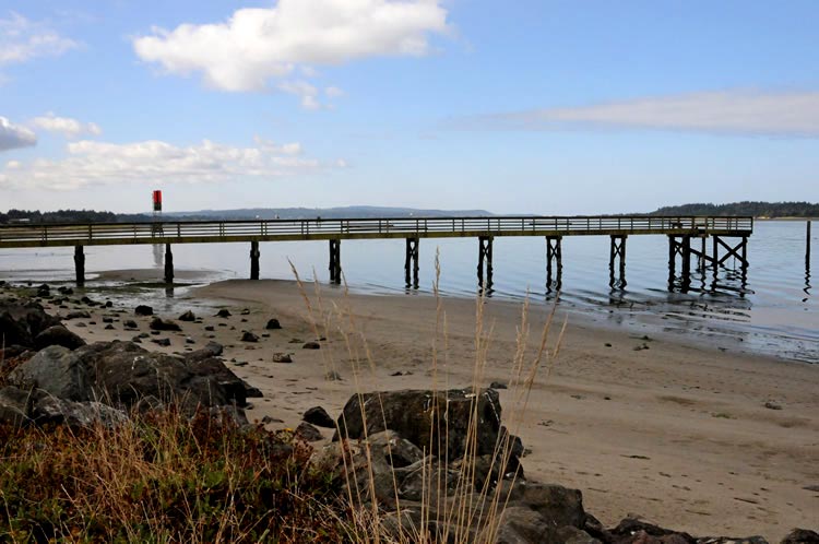 South Oregon Coast Reopens to Razor Clamming 