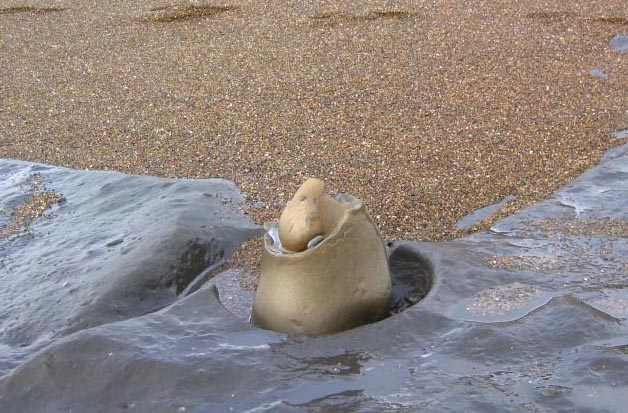 Five Wowing, Head-Scratching Features of the Oregon Coast