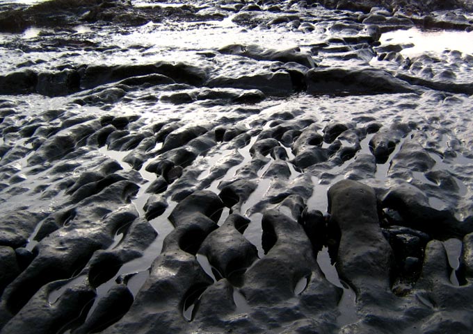 The Mysterious Shapes Found at Oregon Coast's Fogarty Beach