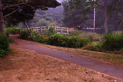 Fogarty Beach in fog