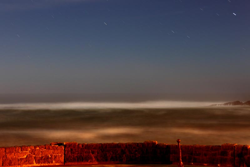 Depoe Bay Night Curiosities: Wild Sights of Nocturnal Oregon Coast 