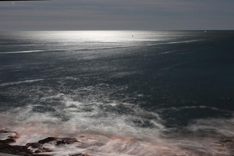 Nocturnal Revelations at a Secret Oregon Coast Spot: Viewpoint Behind the Visitor Center