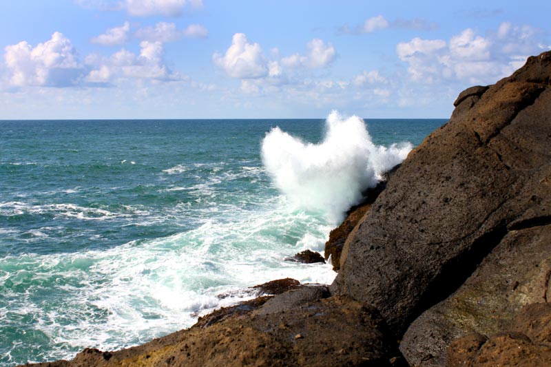 Magical Spot Lurks In a Corner of Depoe Bay: One Dramatic Slice of Oregon Coast 