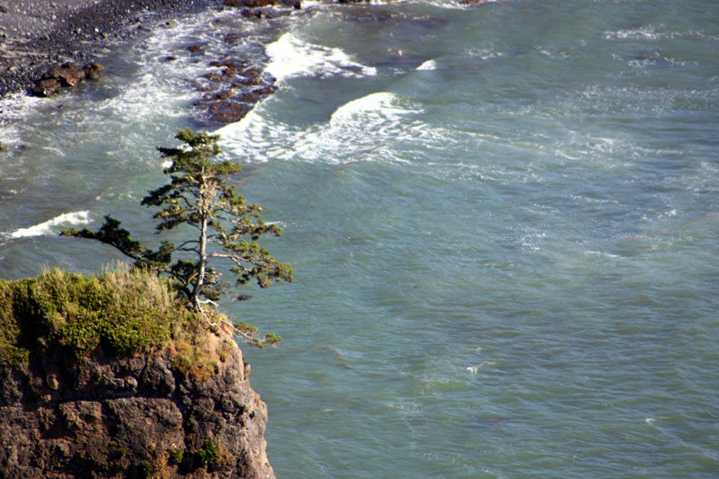 Otter Rock And Roll Surf Contest Returns to Oregon Coast in June