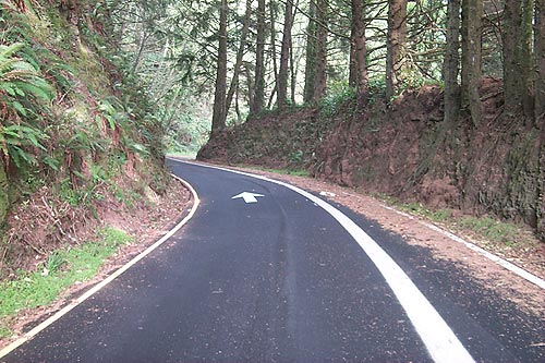 Old road, Otter Crest Loop