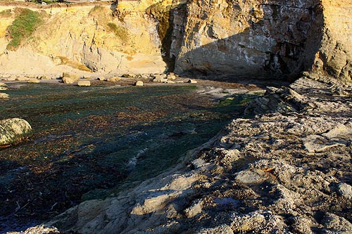 Mysteries and Surprises of an Oregon Coast Landmark: the Devil's Punchbowl