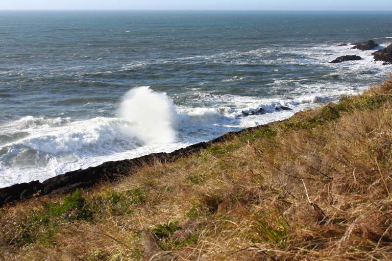 Rodea Point, Roaring Rocky Ledges Near Depoe Bay